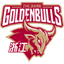 Zhejiang Golden Bulls