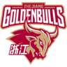 Zhejiang Golden Bulls