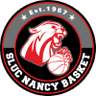 SLUC Nancy Basket