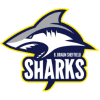 Sheffield Sharks