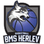 BMS Herlev