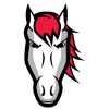 Leicester Riders
