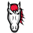 Leicester Riders