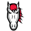 Leicester Riders