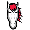 Leicester Riders