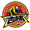 Jilin Northeast Tigers