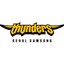 Seoul Samsung Thunders