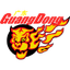 Guangdong Southern Tigers