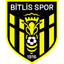 Bitlis 1916