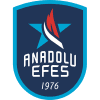 Anadolu Efes SK