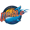 Sichuan Blue Whales