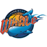 Sichuan Blue Whales