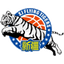 Xinjiang Flying Tigers